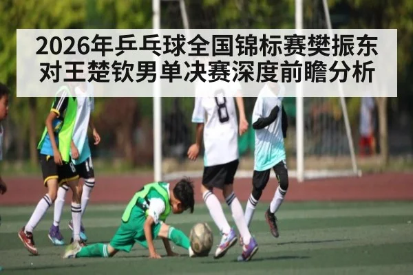 2026年乒乓球全国锦标赛樊振东对王楚钦男单决赛深度前瞻分析